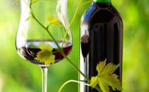 Millesime wine quality control chromatography