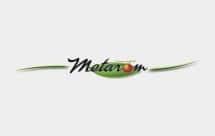 Logo Metarom